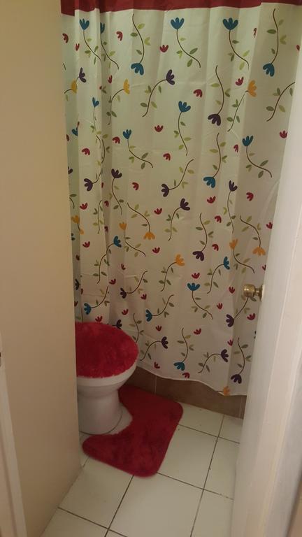 קינגסטון Comfortable Suite 1 מראה חיצוני תמונה